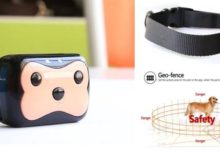 GPS tracker voor hond of kat