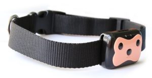 gps tracker halsband voor hond of kat